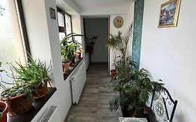 Solaria Apartment